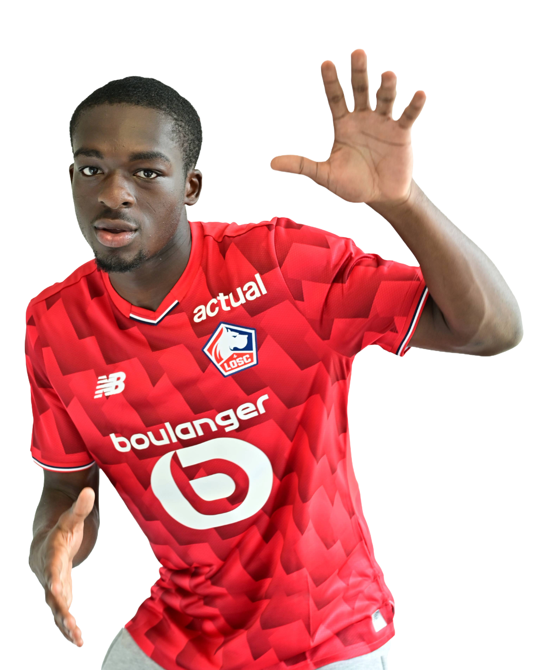 effectif-losc